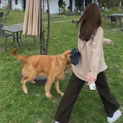 盛夏和她的未婚夫